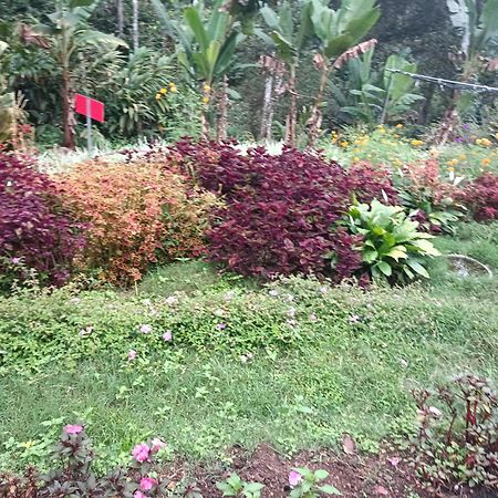 God'S Gift Villa Devikolam Luaran gambar
